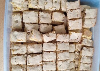 Saftige Nusskuchenwürfel Klassisches Blechgebäck mit feiner Note