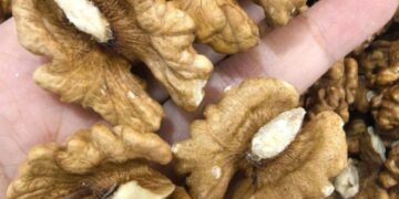 Ärzte enthüllen, dass der Verzehr von Walnüssen verursacht