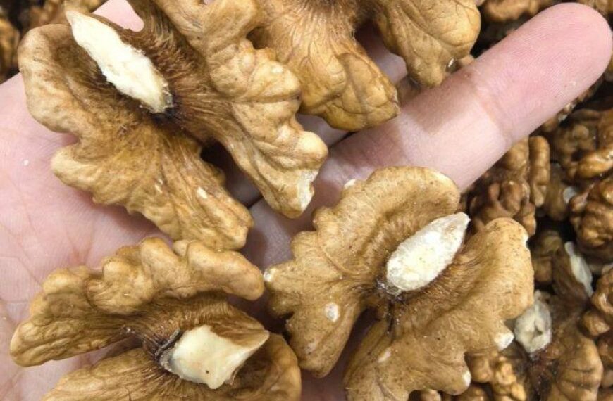 Ärzte enthüllen, dass der Verzehr von Walnüssen verursacht