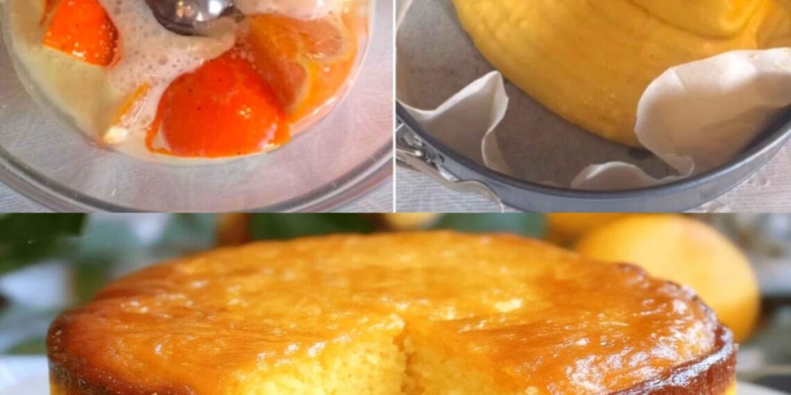 10 Minuten Orangenkuchen ohne Schnickschnack