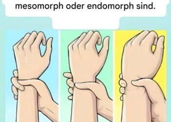Bist du ein Ektomorph, Mesomorph oder Endomorph? Finde deinen Körpertyp heraus und lerne, wie du ihn optimal in Szene setzt.