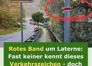 Jeder sollte die Bedeutung kennen