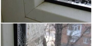 Meine PVC-Fenster bleiben im Winter trocken. Ich erkläre Ihnen in 3 Minuten, wie Sie Kondenswasserbildung vermeiden können (meine praktischen Tipps).