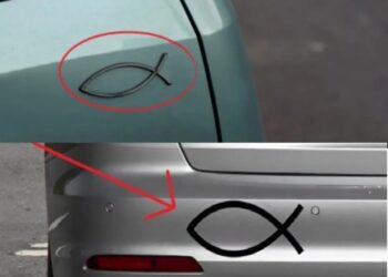 Was bedeutet das kleine fischförmige Symbol, das man auf der Rückseite mancher Autos sieht, und wozu wird es verwendet?