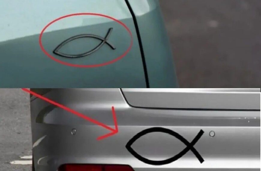 Was bedeutet das kleine fischförmige Symbol, das man auf der Rückseite mancher Autos sieht, und wozu wird es verwendet?
