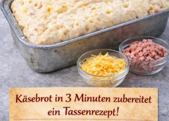 Käsebrot in 3 Minuten vorbereitet