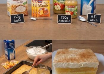 Apfelmus-Kuchen – einfach unwiderstehlich lecker