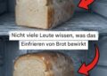 Ein praktischer Leitfaden zum richtigen Einfrieren von Brot