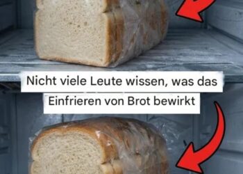 Ein praktischer Leitfaden zum richtigen Einfrieren von Brot
