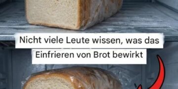 Ein praktischer Leitfaden zum richtigen Einfrieren von Brot