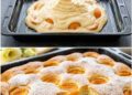 Aprikosen Quark Blechkuchen