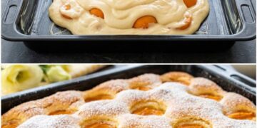 Aprikosen Quark Blechkuchen