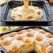 Aprikosen Quark Blechkuchen