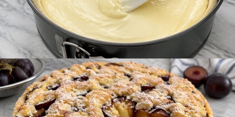 Klassischer Zwetschgen-Puddingkuchen mit Quark-Öl-Teig