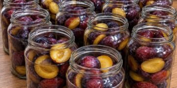Pflaumen, ohne Wasser und Zucker konserviert: Sie schmecken auch im Winter wie frisch!