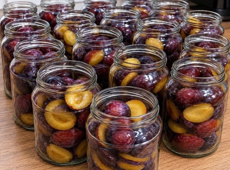 Pflaumen, ohne Wasser und Zucker konserviert: Sie schmecken auch im Winter wie frisch!