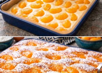 Saftiger Mandarinenkuchen vom Blech