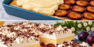 Pflaumen-Pudding-Sahne-Kuchen