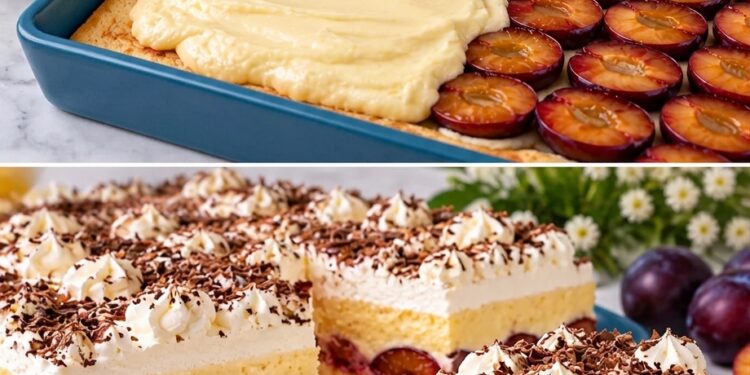 Pflaumen-Pudding-Sahne-Kuchen