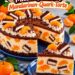 Milch-Schnitte Mandarinen-Quark-Torte